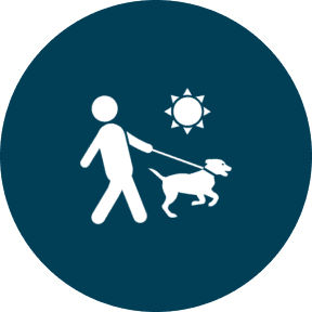Person walking dog under the sun icon.